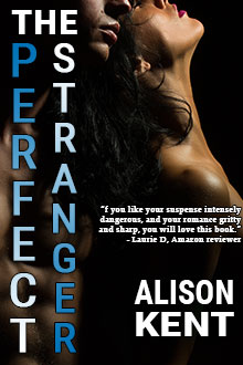 The Pefect Strangeer by Alison Kent